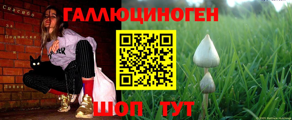 Псилоцибиновые грибы MAGIC MUSHROOMS  Псилоцибиновые грибы ЛСД  Вход с VPN  Зерноград 